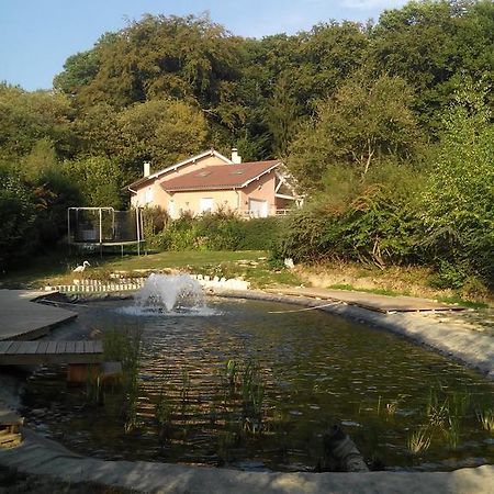 Bed and Breakfast Le Jardin Ombragé Saint-Paul-dʼIzeaux Exterior foto